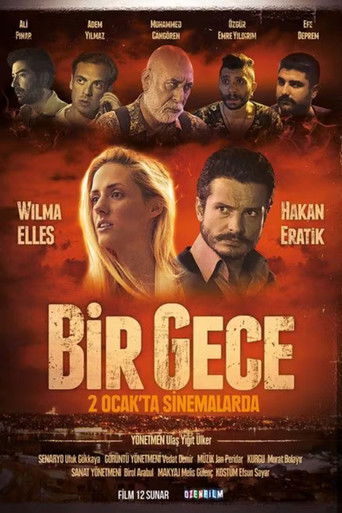 Bir Gece poster