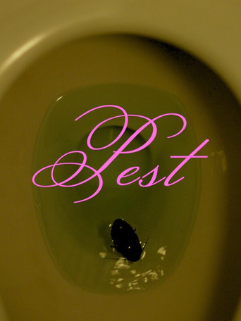 Movie poster for Pest (2024)