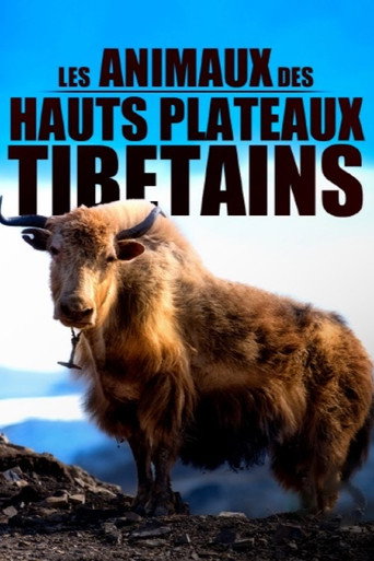 Movie poster for Les animaux des hauts plateaux tibétains (2020)