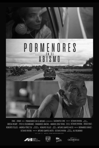 Movie poster for Particulars in the Abbys (2023)
