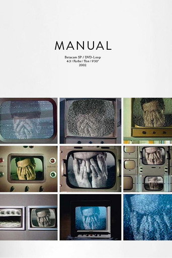 Movie poster for Manual (2002)