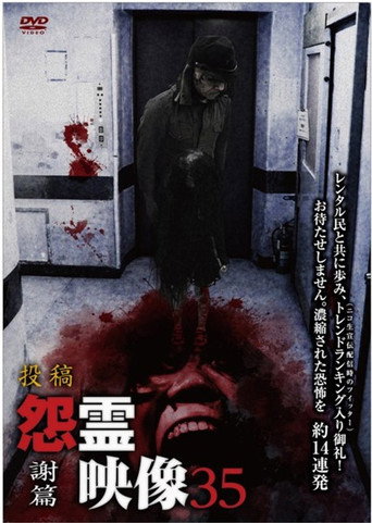 Movie poster for Posted Grudge Spirit Footage Vol.35: Thanks Edition (2017)