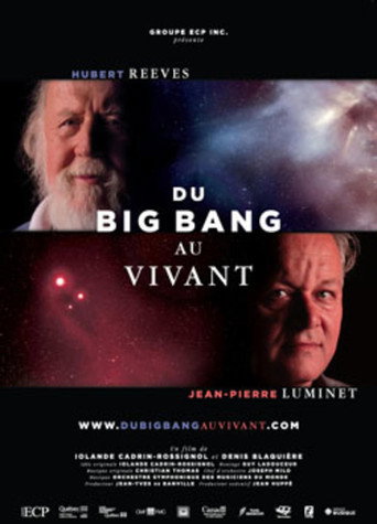 Movie poster for Du Big Bang au Vivant (2011)