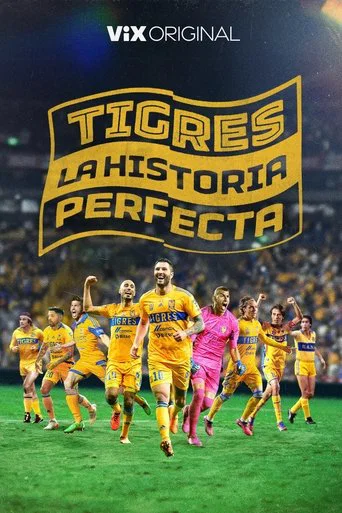 Series poster for Tigres: La historia perfecta (2024)