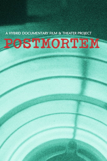 Movie poster for Postmortem