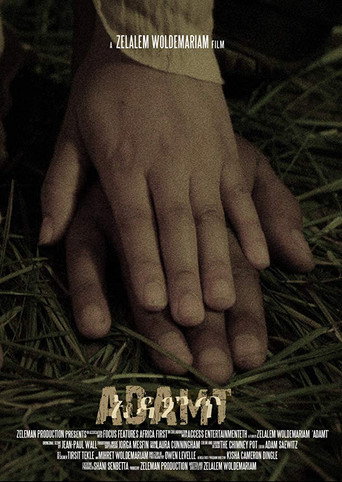 Movie poster for Adamt (2013)