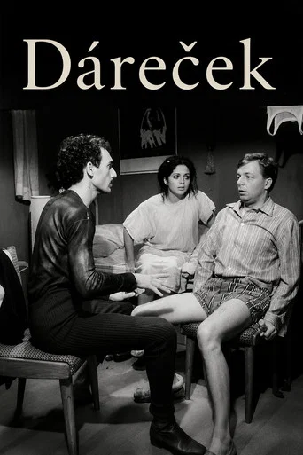 Movie poster for Dáreček (1996)