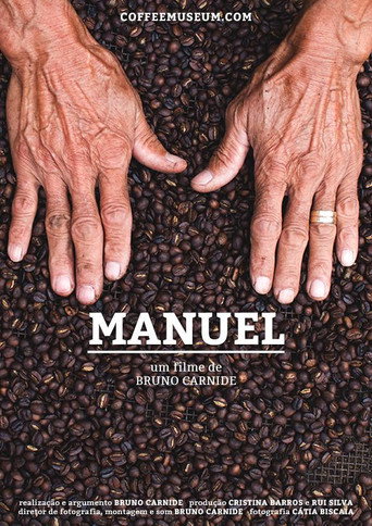 Movie poster for Manuel (2015)