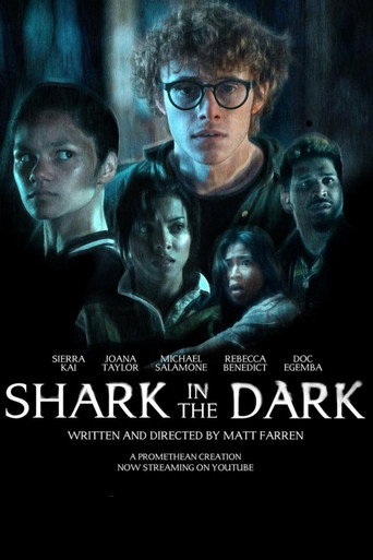 Movie poster for Shark In The Dark (2023)