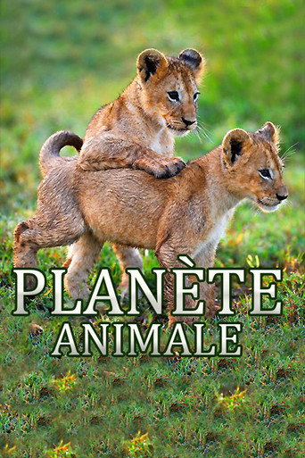 Movie poster for Animal Planet (2019)