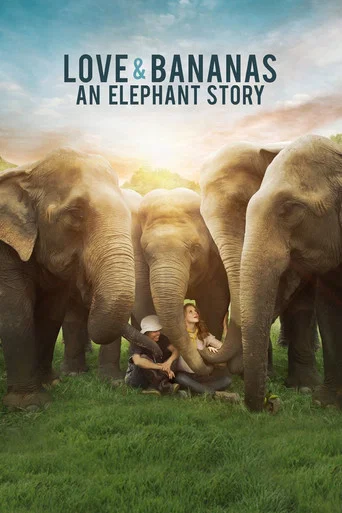 Movie poster for Love & Bananas: An Elephant Story (2018)