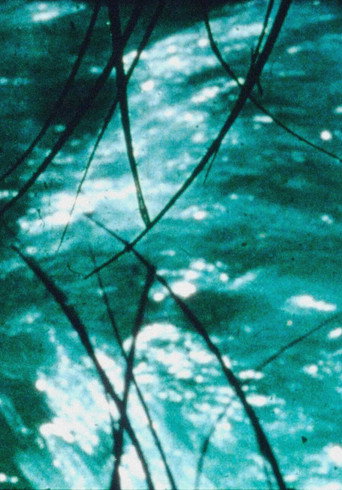 Movie poster for The Time Slit (1989)