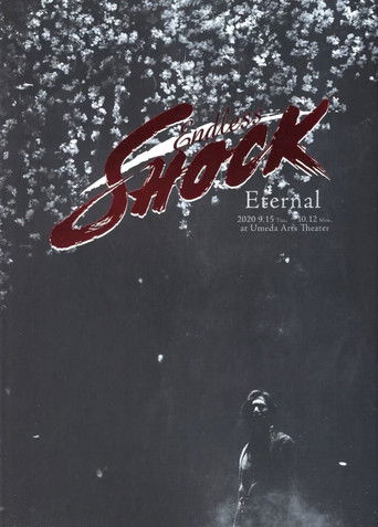 Endless SHOCK 20th Anniversary -Eternal- poster