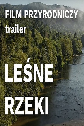 Leśne rzeki poster