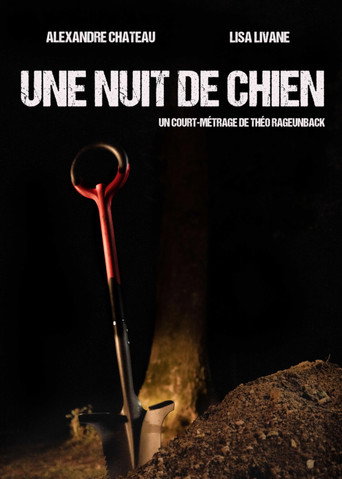 Movie poster for Une nuit de chien (2026)