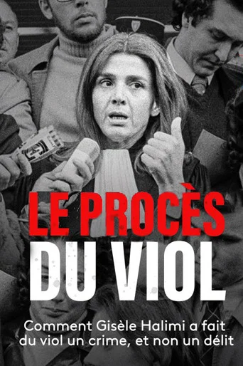 Movie poster for Le Procès du viol (2013)