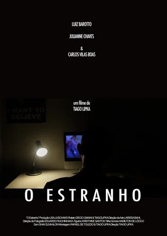Movie poster for The Stranger (2015)