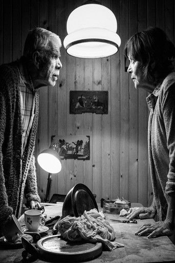 Love on the Roof of the World poster