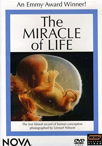 Movie poster for The Miracle of Life (1982)