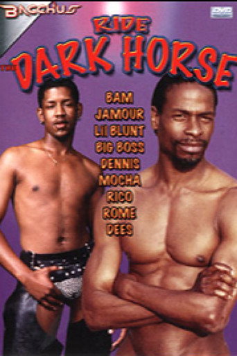 Movie poster for Ride the Dark Horse (2005)