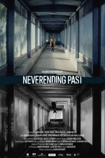 Neverending Past poster