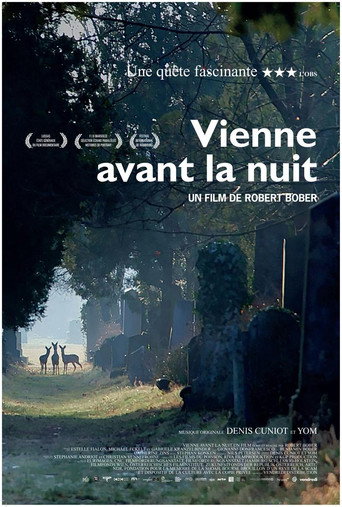 Movie poster for Vienne avant la nuit (2017)