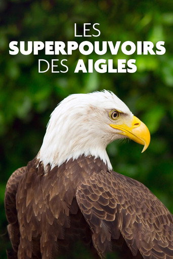 Movie poster for Superpowered Eagles (2021)