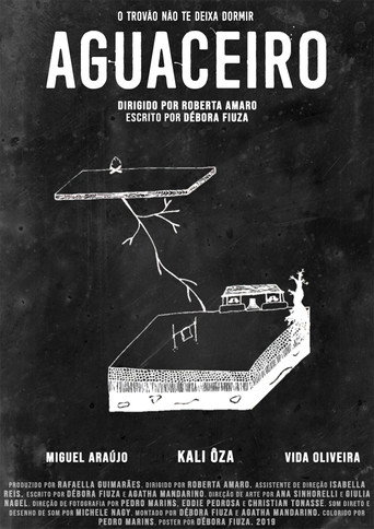 Movie poster for Aguaceiro (2019)