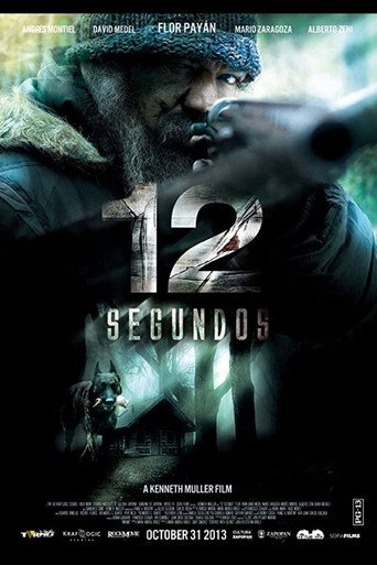Movie poster for 12 segundos (2013)