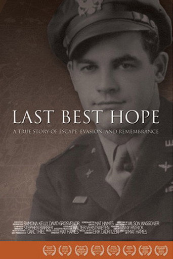 Movie poster for Last Best Hope (2006)