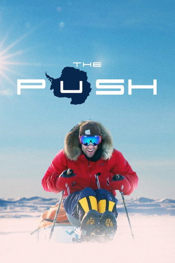 Movie poster for The Push (2018)