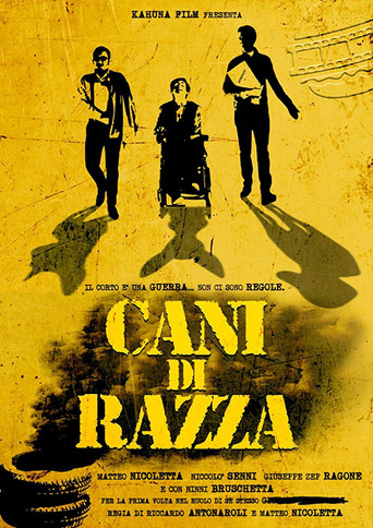 Cani di razza poster