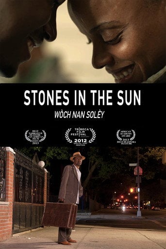 Movie poster for Stones in the Sun (2014)