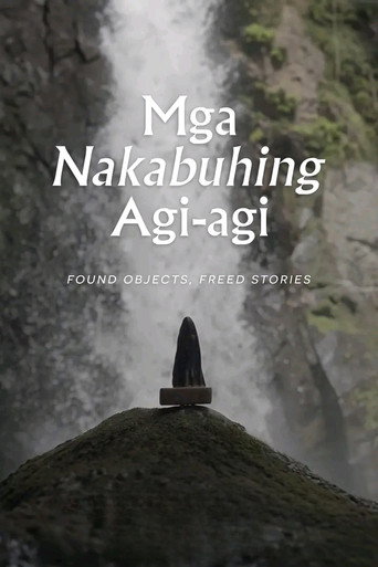 Movie poster for Found Objects, Freed Stories (2025)