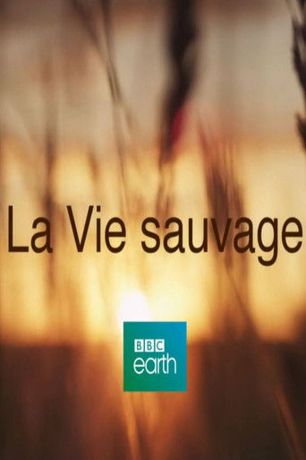 La Vie Sauvage poster
