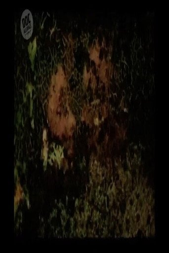 Movie poster for The Lovers (2004)