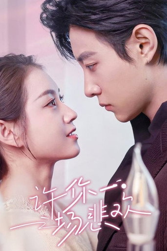 许你一场悲欢 poster