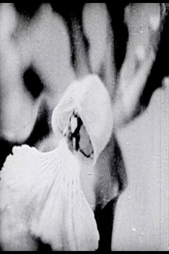 Movie poster for Floral Symphony (1936)