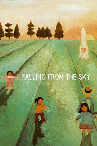 Movie poster for Falling From the Sky (2009)