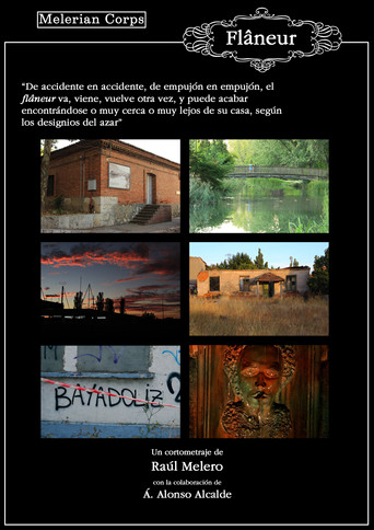 Movie poster for Flâneur (El paseador) (2022)