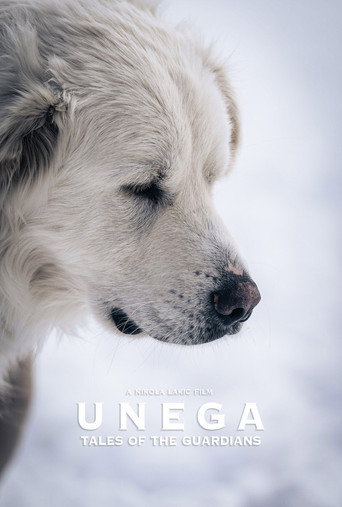 Movie poster for Unega | Tales Of The Guardians