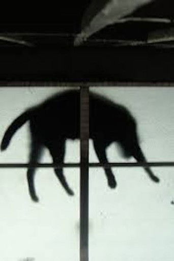 Scissors and the Cat poster