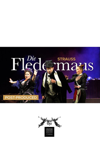 Movie poster for Die Fledermaus - CNT (2024)