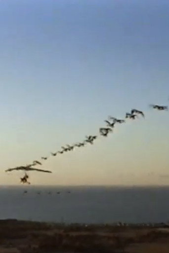 Movie poster for The Ultra Geese (1998)