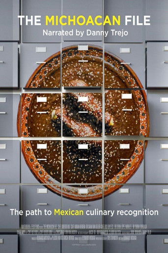 The Michoacan File poster