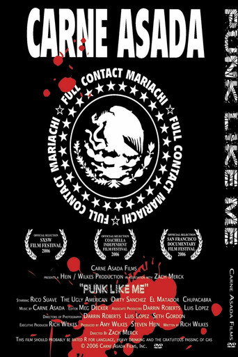 Movie poster for Punk Like Me (2006)