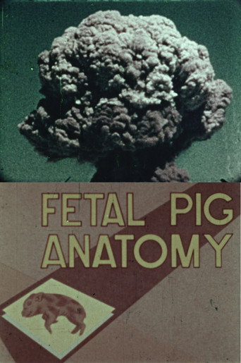Movie poster for Fetal Pig Anatomy (1989)