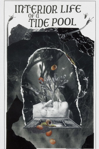 Movie poster for Interior Life of a Tidepool (2022)