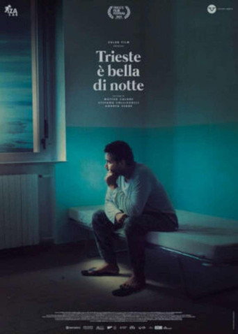 Movie poster for Trieste Shines at Night (2023)