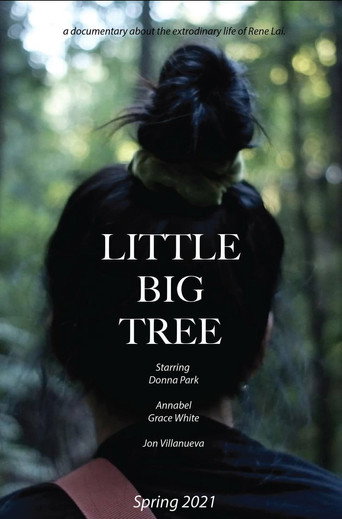 Movie poster for Little Big Tree